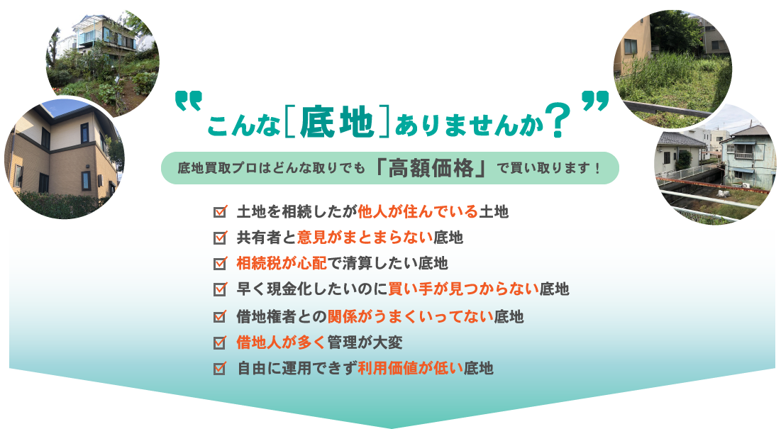 チュウテ革命では