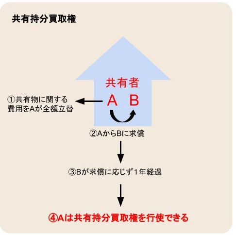 共有持分買取権