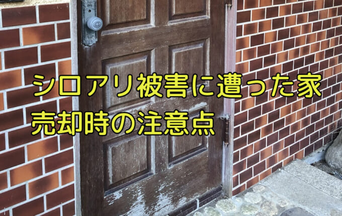 シロアリ被害に遭った家は売却しにくい リスクや売却方法のポイントを解説