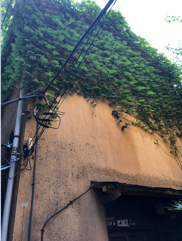 旗竿地 はたざおち は売却が難しい 高く売るために知っておくべきこととは