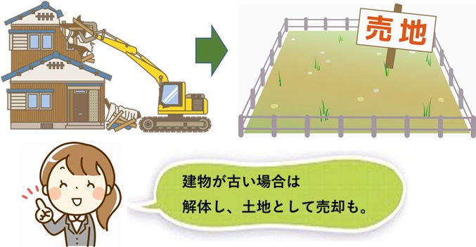 更地での売却