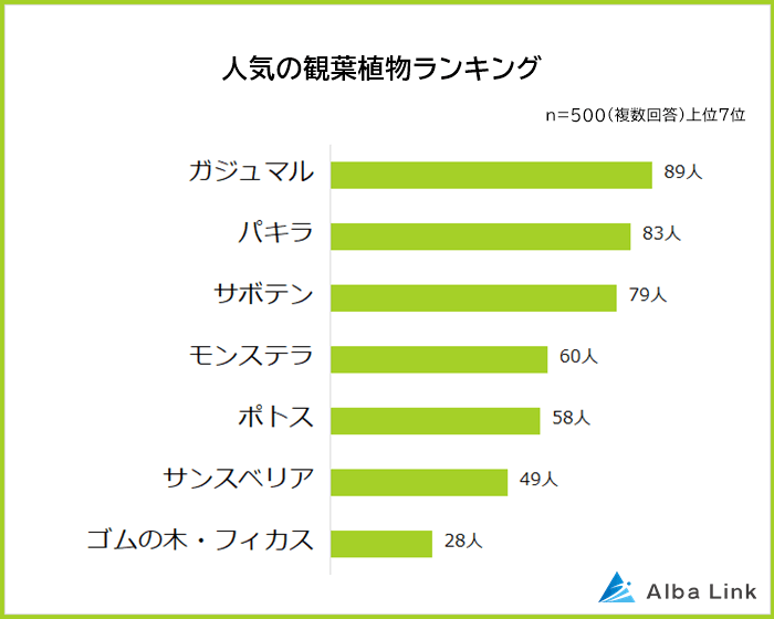 人気の観葉植物