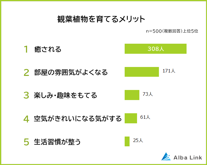 観葉植物を育てるメリット