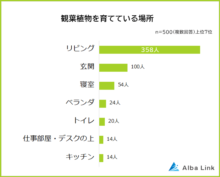 観葉植物を育てている場所