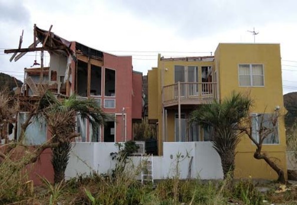シロアリ被害が台風による倒壊を招いた事例（2019年台風15号）