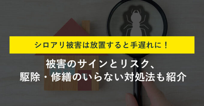 シロアリ被害の放置は危険！手遅れになる前にすべき対策を解説