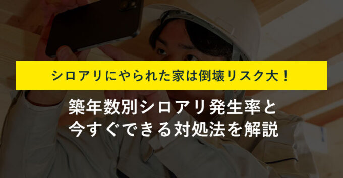 シロアリに家をやられたら家は壊れるのか？いますぐできる対処法を解説！