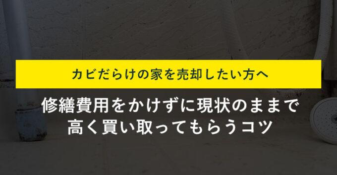 カビだらけの家でも売却できる！売却方法と注意点を解説