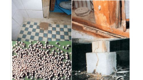 シロアリチェックポイント